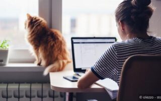 Wegzugsbesteuerung und Grenzgängerregelung 3 Wegzugsbesteuerung