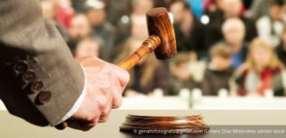 Gerichtliche Versteigerung eines Grundstücks 2 1353 wsi4641wmj